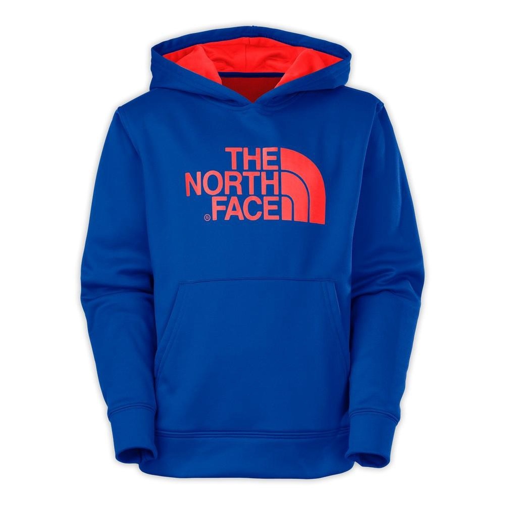 THE NORTH FACE Men’s LOGO SURGENT PULLOVER HOODIE
